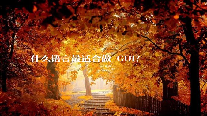 什么语言最适合做 GUI？