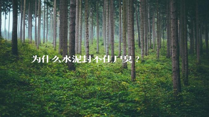 为什么水泥封不住尸臭?