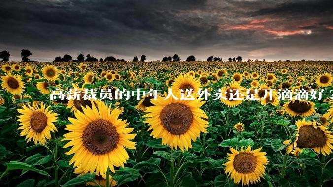 高薪裁员的中年人送外卖还是开滴滴好?